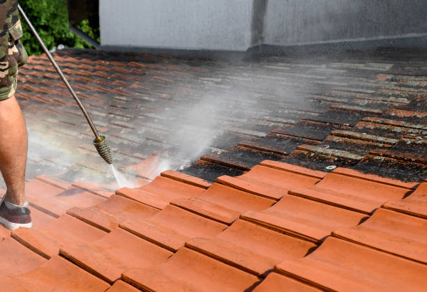 Best Concrete Pressure Washing  in Tri Lakes, IN