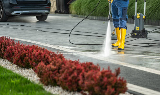 Best Affordable Power Washing  in Tri Lakes, IN